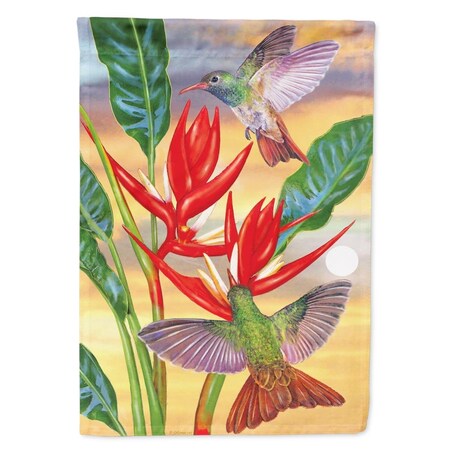 Carolines Treasures 28 x 0.01 x 40 in. Buff Bellied Hummingbird Canvas House Flag PRS4019CHF